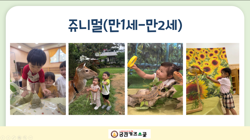 쥬니멀 동물체험