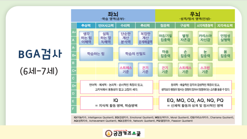뇌파교육