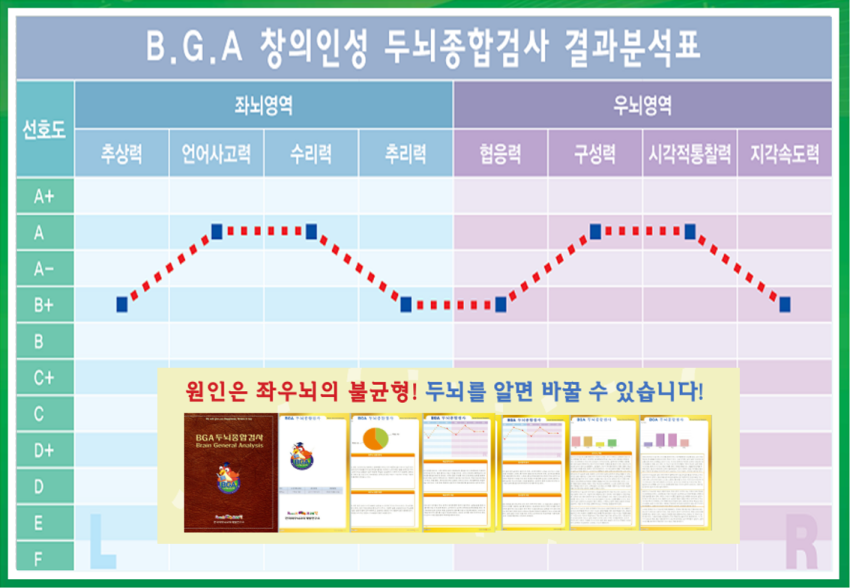 와이즈 Q