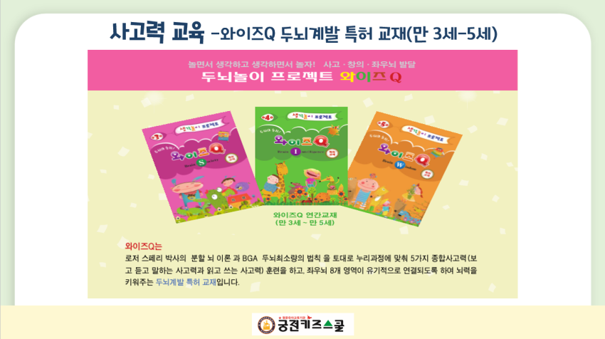 와이즈 Q